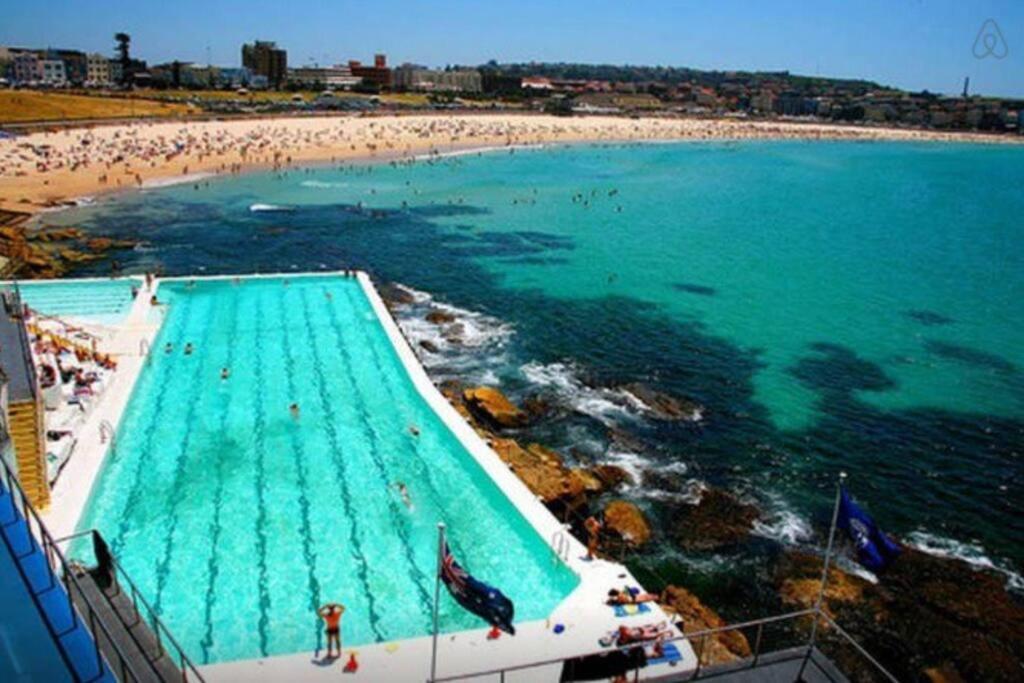 Apartment Location & Budget - Great Affordable Bondi